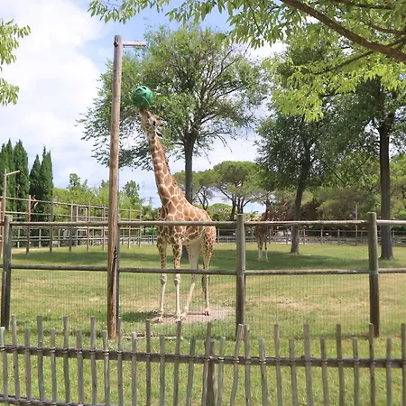 Casa Al Mare Линьяно-Саббьядоро